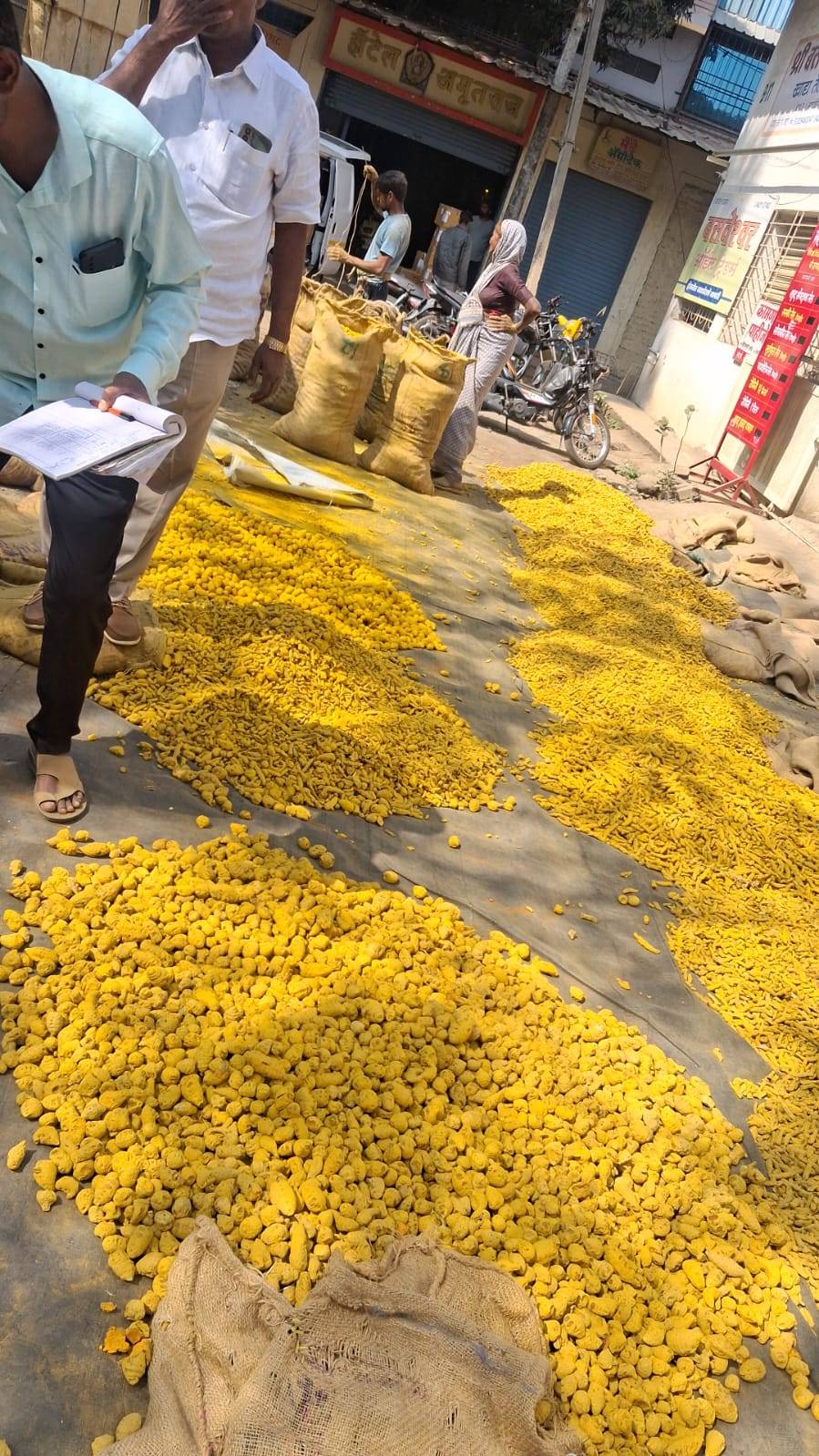 Turmeric Salem