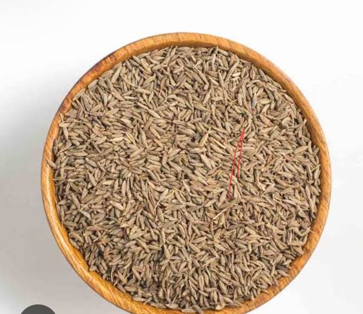 Cumin Shahi Jeera
