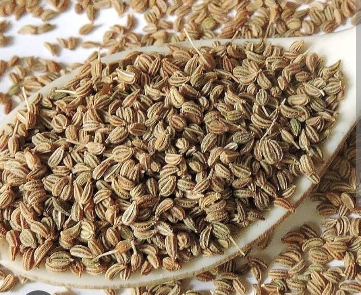 Ajwain Bishop's Weed