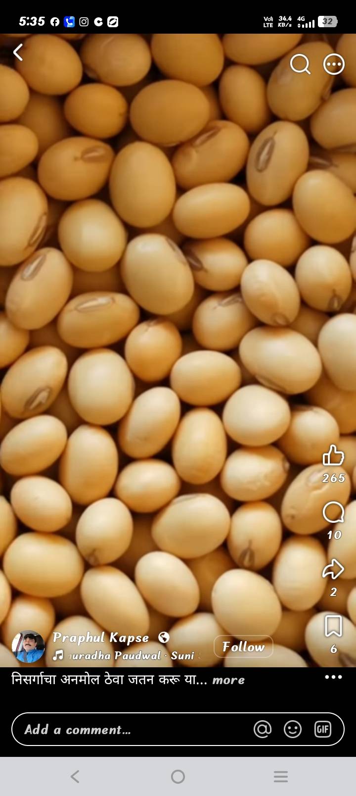 Yellow Soybean बिक्री के लिए, जालना, महाराष्ट्र