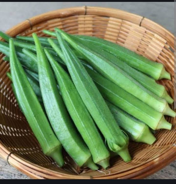 Radhika for sale in Dewas, Madhya Pradesh