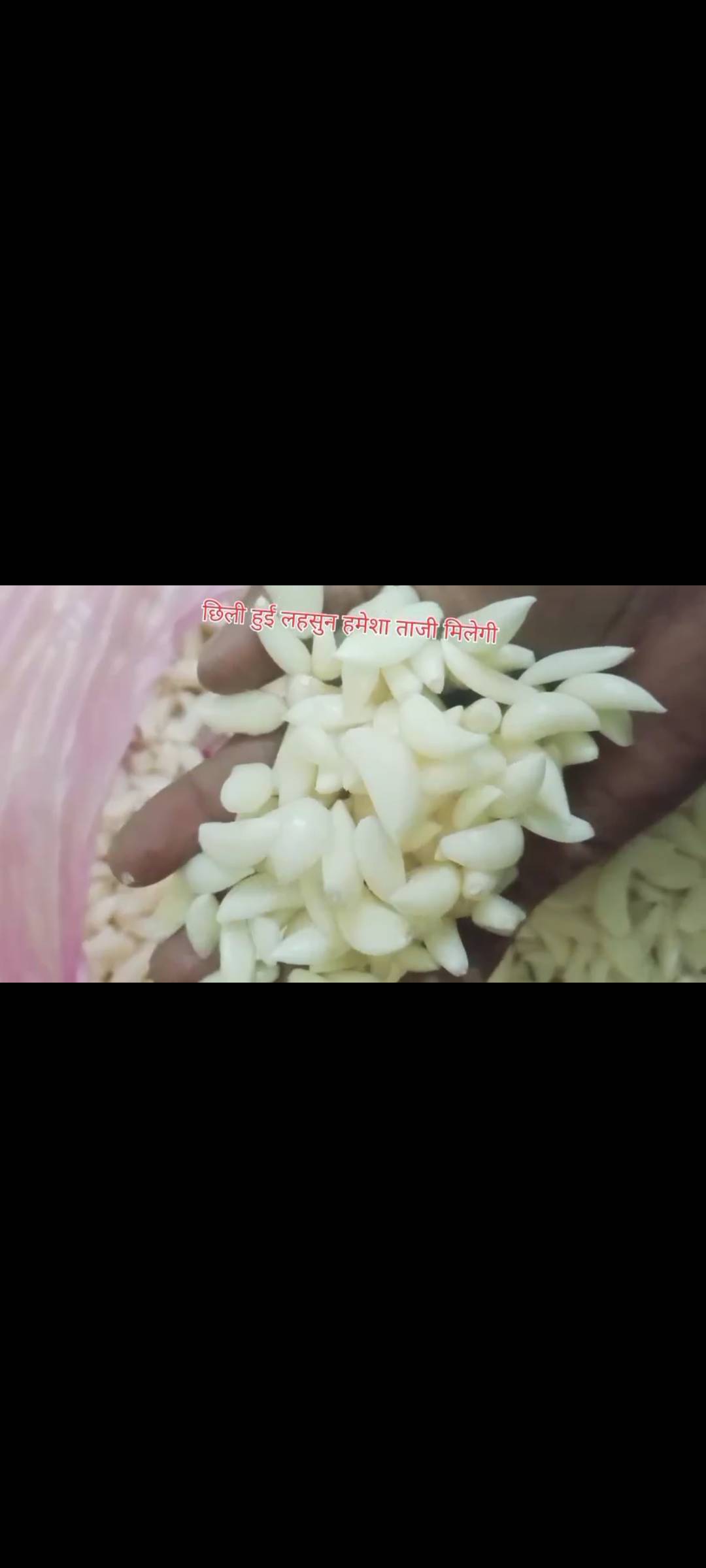 Peeled Garlic for sale in Mandsaur, Madhya Pradesh