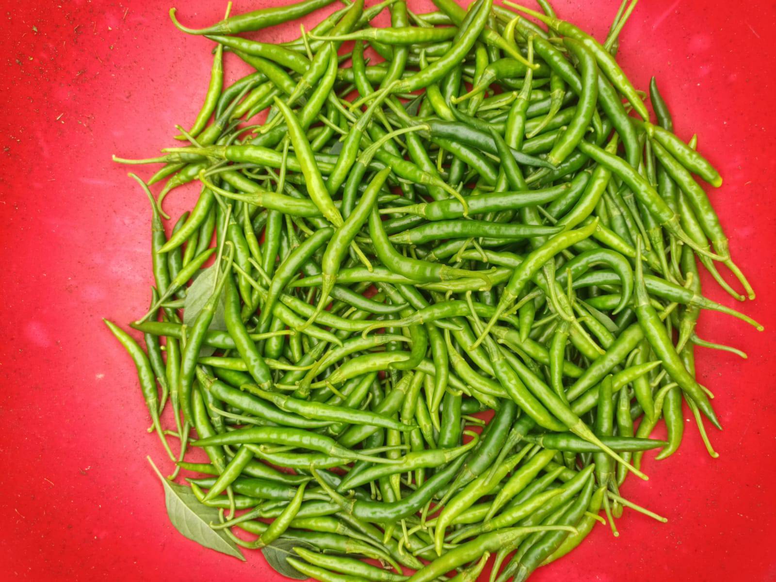 G4 Chilli बिक्री के लिए, सूरत, गुजरात