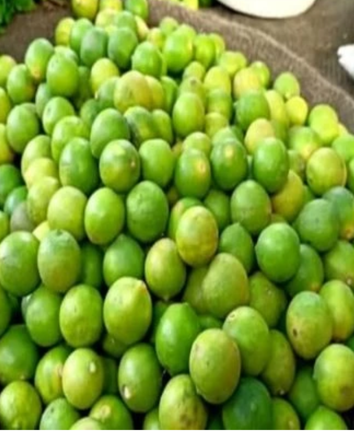 Kagzi for sale in Aligarh, Uttar Pradesh