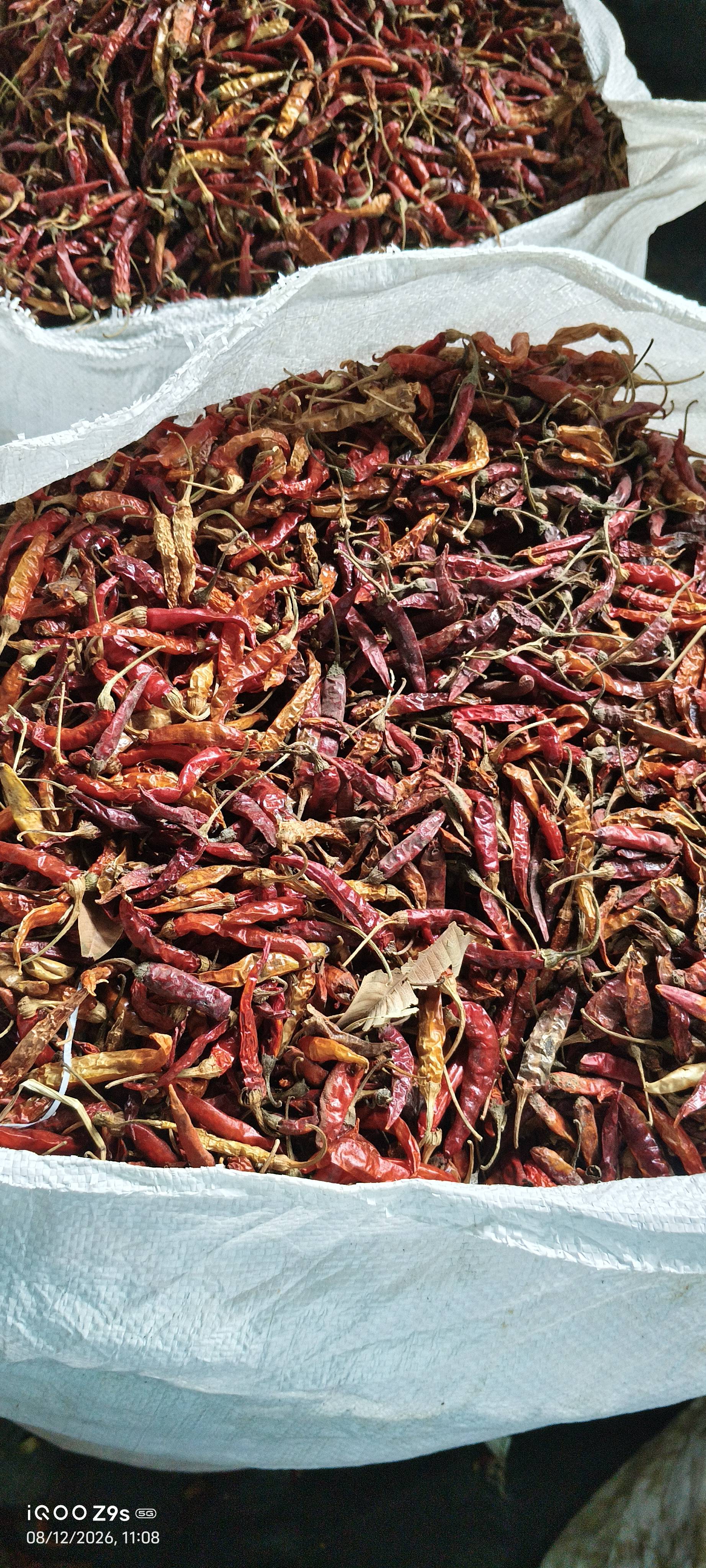 Whole Spices Dry Red Chilli
