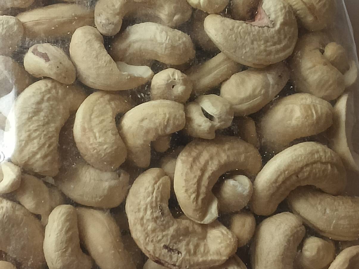 W320 Cashew for sale in Sindhudurg, Maharashtra