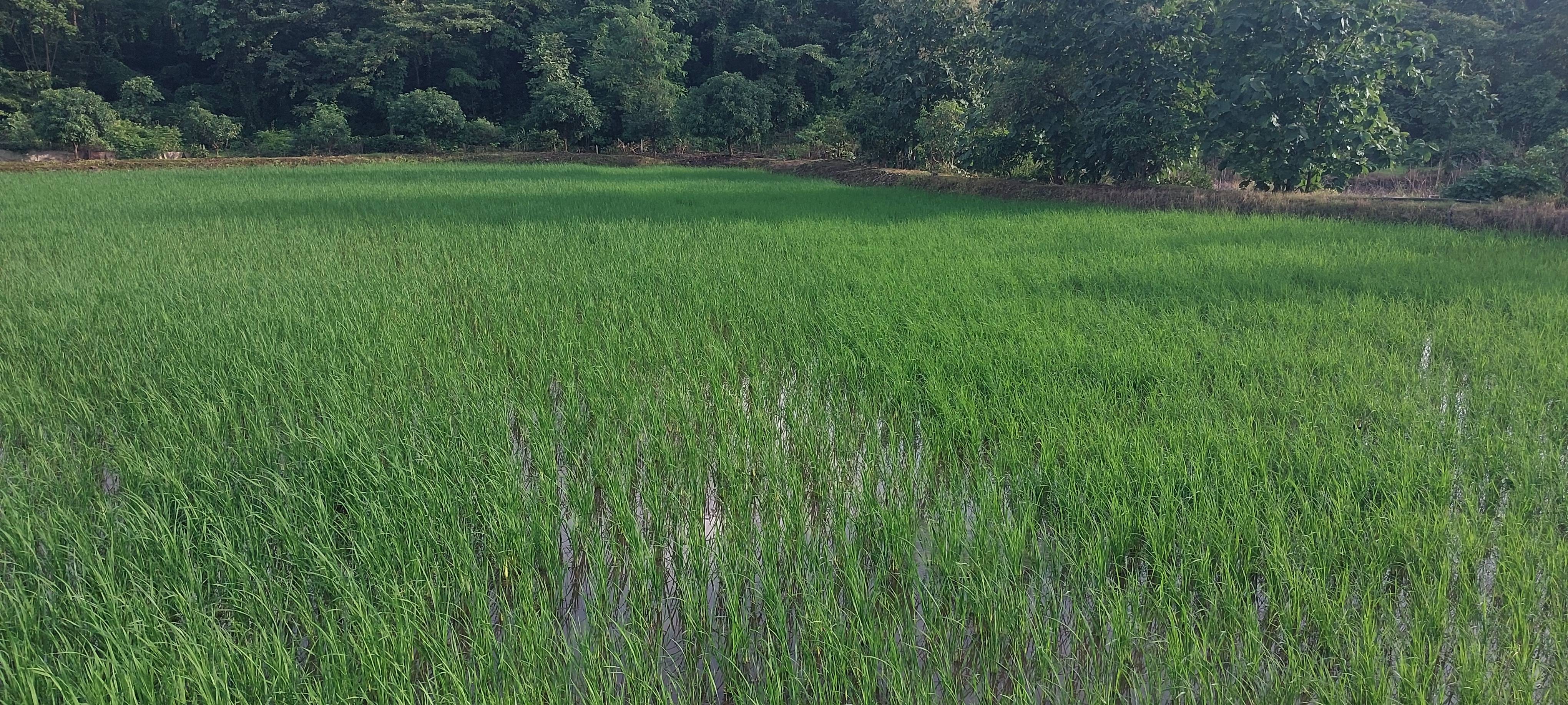 Kolam विक्रीसाठी, ठाणे, महाराष्ट्र