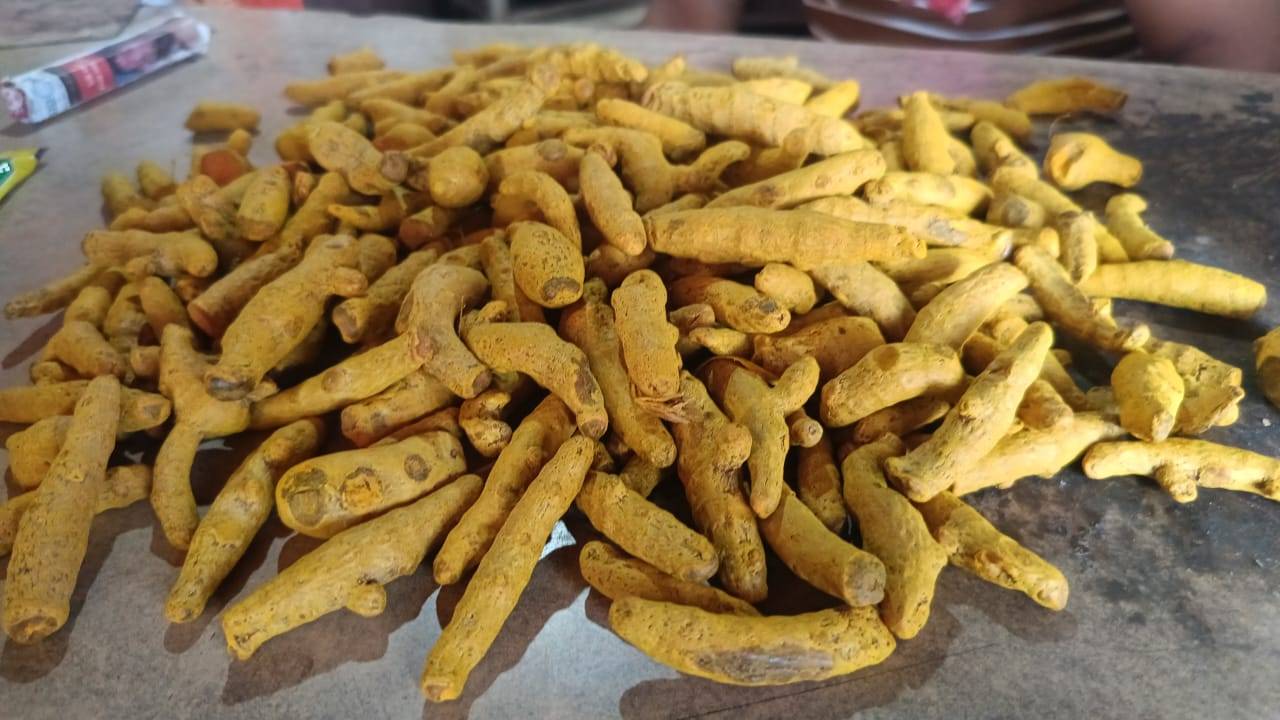 Turmeric Salem