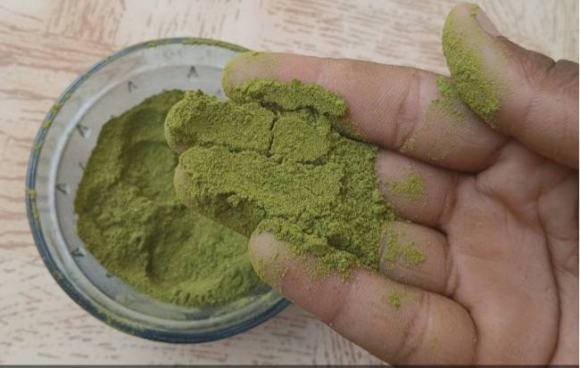 Moringa Leaf Powder विक्रीसाठी, शाजापूर, मध्य प्रदेश