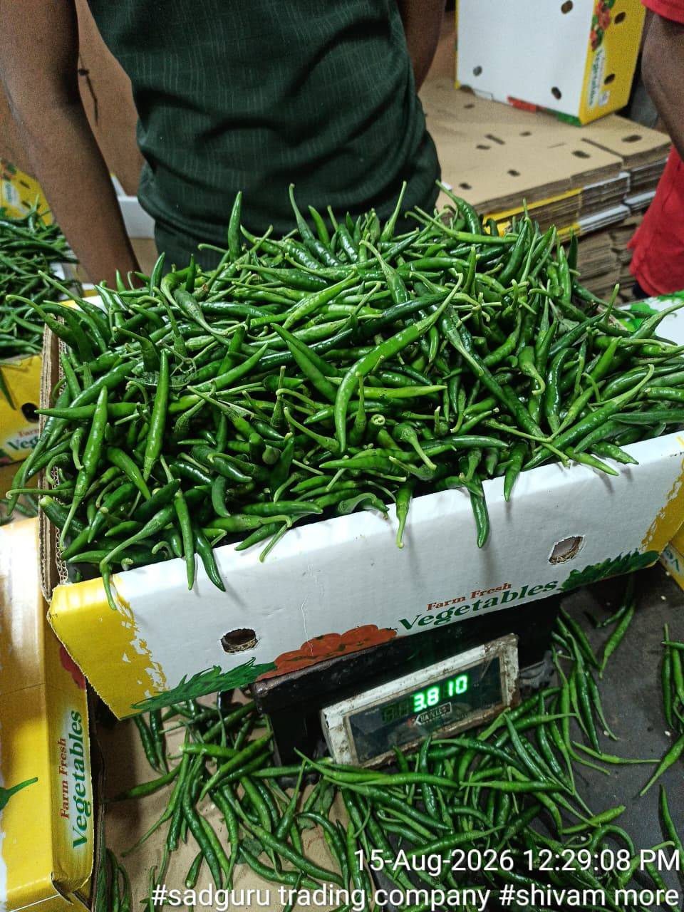 G4 Chilli for sale in Pune, Maharashtra