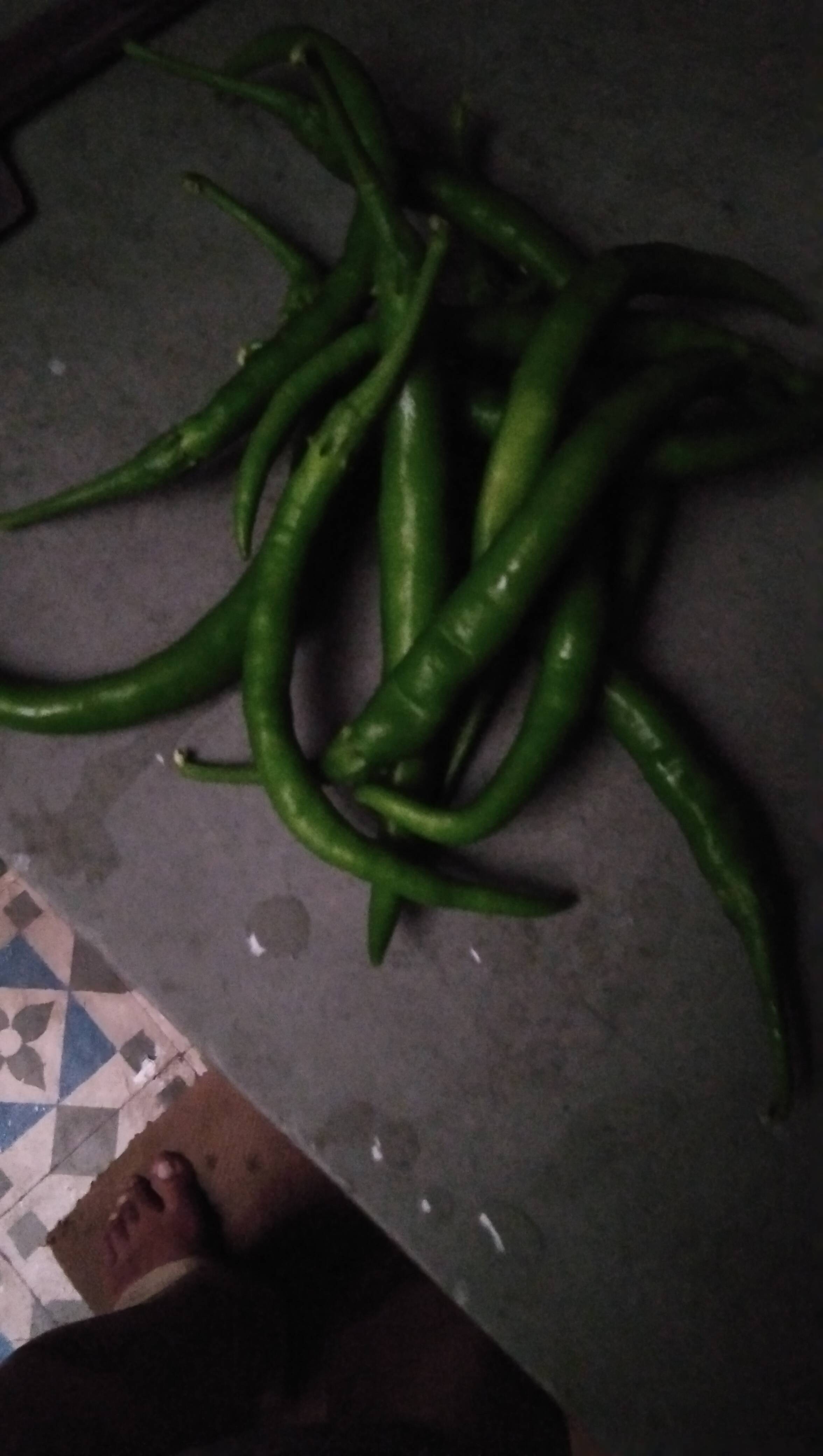 G4 Chilli बिक्री के लिए, चित्तौड़गढ़, राजस्थान