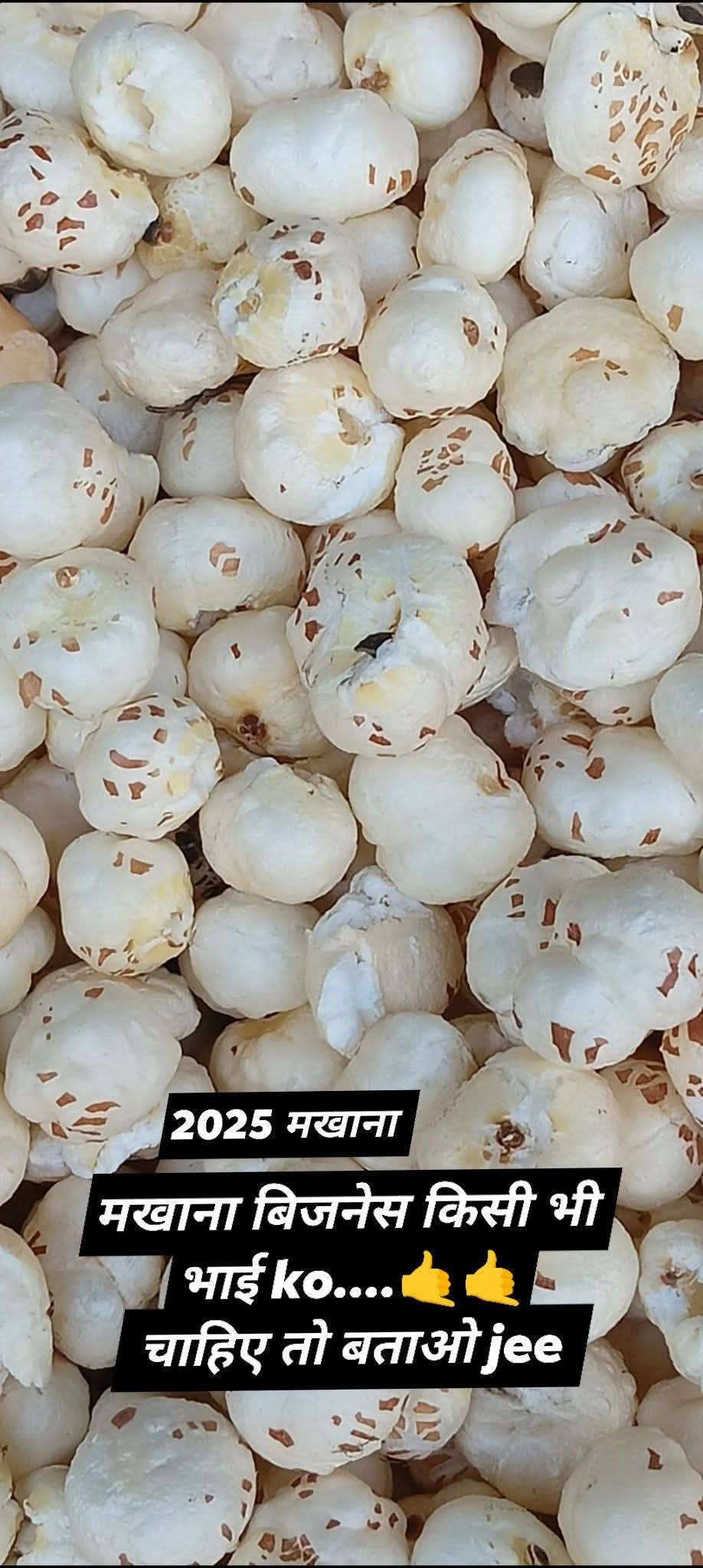 Medium Makhana for sale in Darbhanga, Bihar