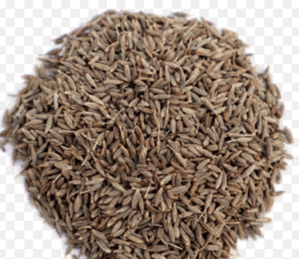 Shahi Jeera for sale in Nagaur, Rajasthan