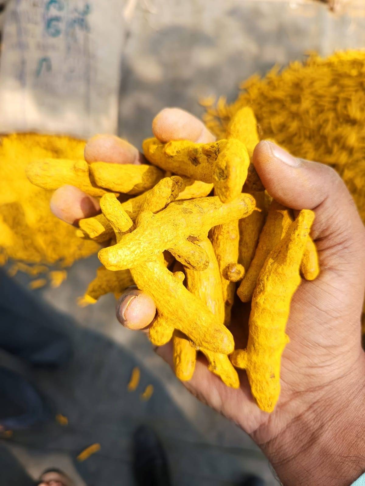 Turmeric Salem