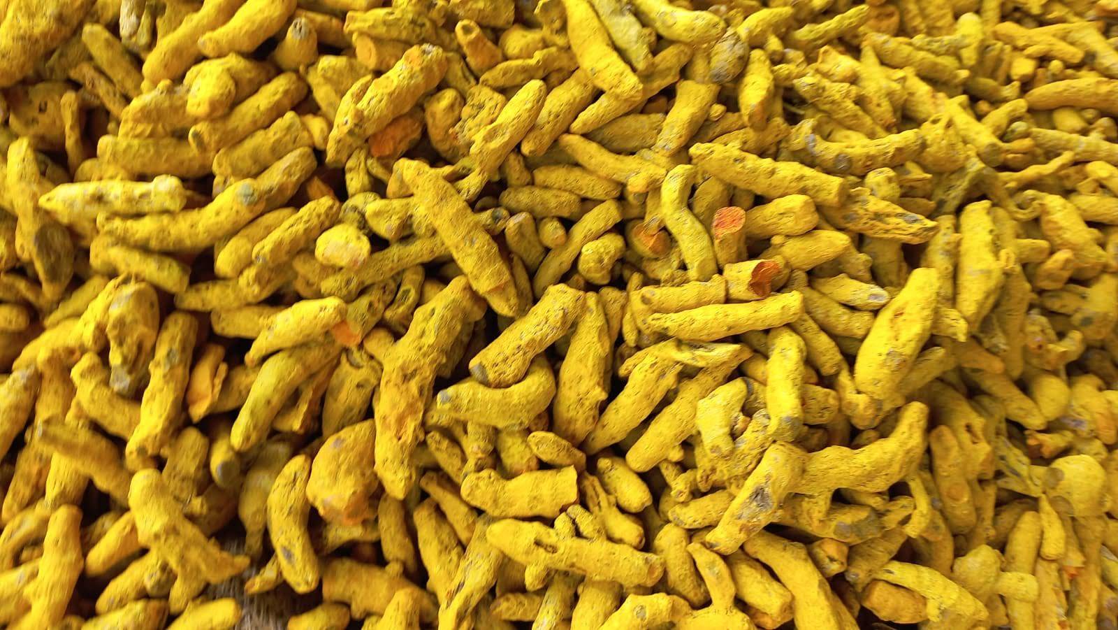 Salem for sale in Nashik, Maharashtra