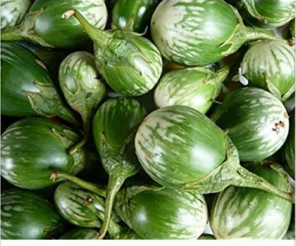 White Brinjal बिक्री के लिए, जालना, महाराष्ट्र
