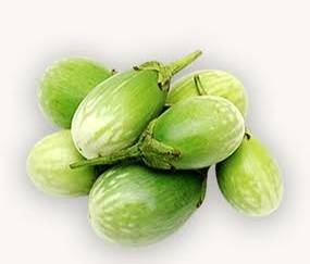 White Brinjal बिक्री के लिए, जालना, महाराष्ट्र