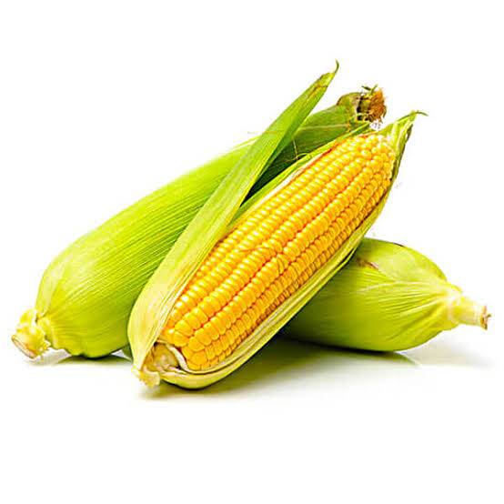 Sweet Corn for sale in Jalna, Maharashtra