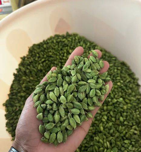 Mysore Cardamom for sale in Bangalore, Karnataka