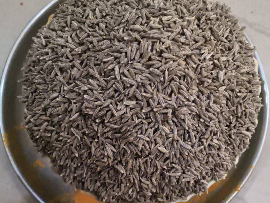 Cumin Shahi Jeera