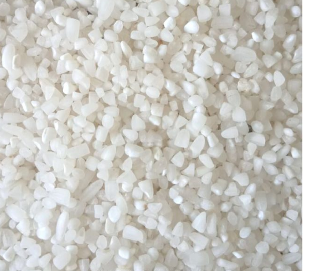 Broken Rice required in Umaria, Madhya Pradesh