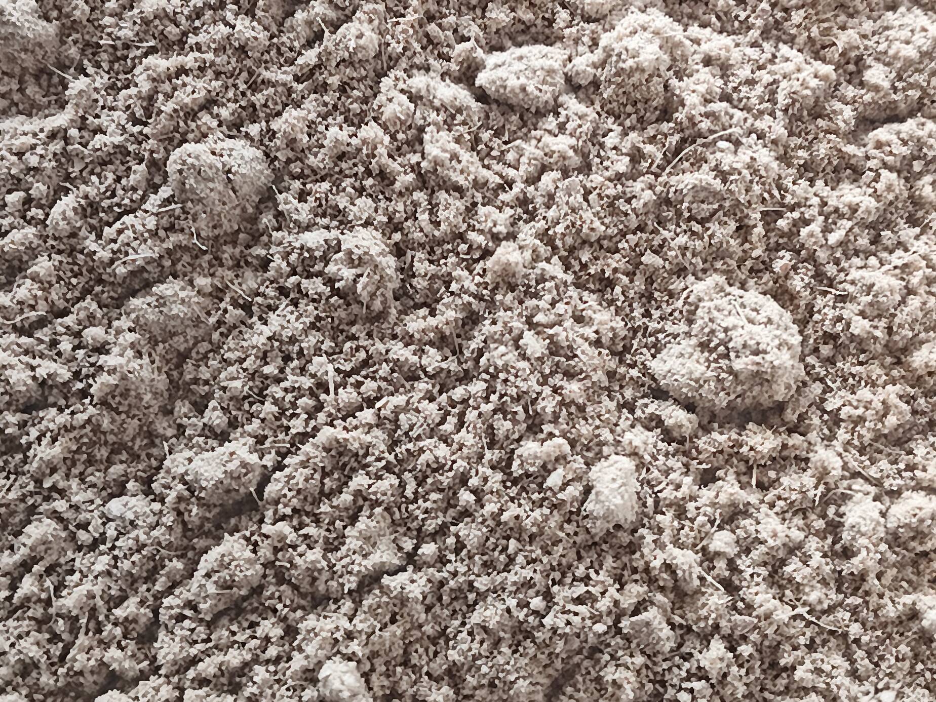 Ground Spices Ginger powder