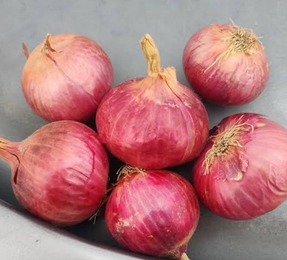 Red Onion for sale in Pune, Maharashtra
