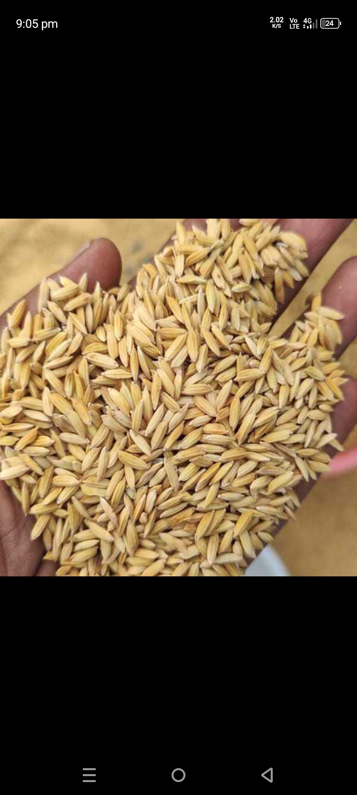 Paddy 1010 for sale in Narsinghpur, Madhya Pradesh
