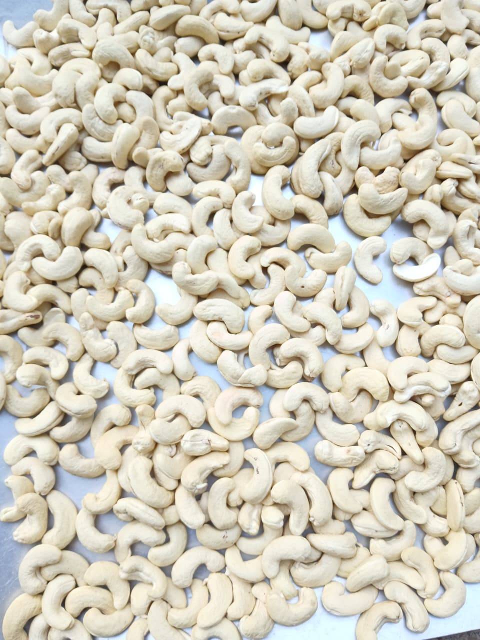 W210 Cashew विक्रीसाठी, बेंगलुरु, कर्नाटक