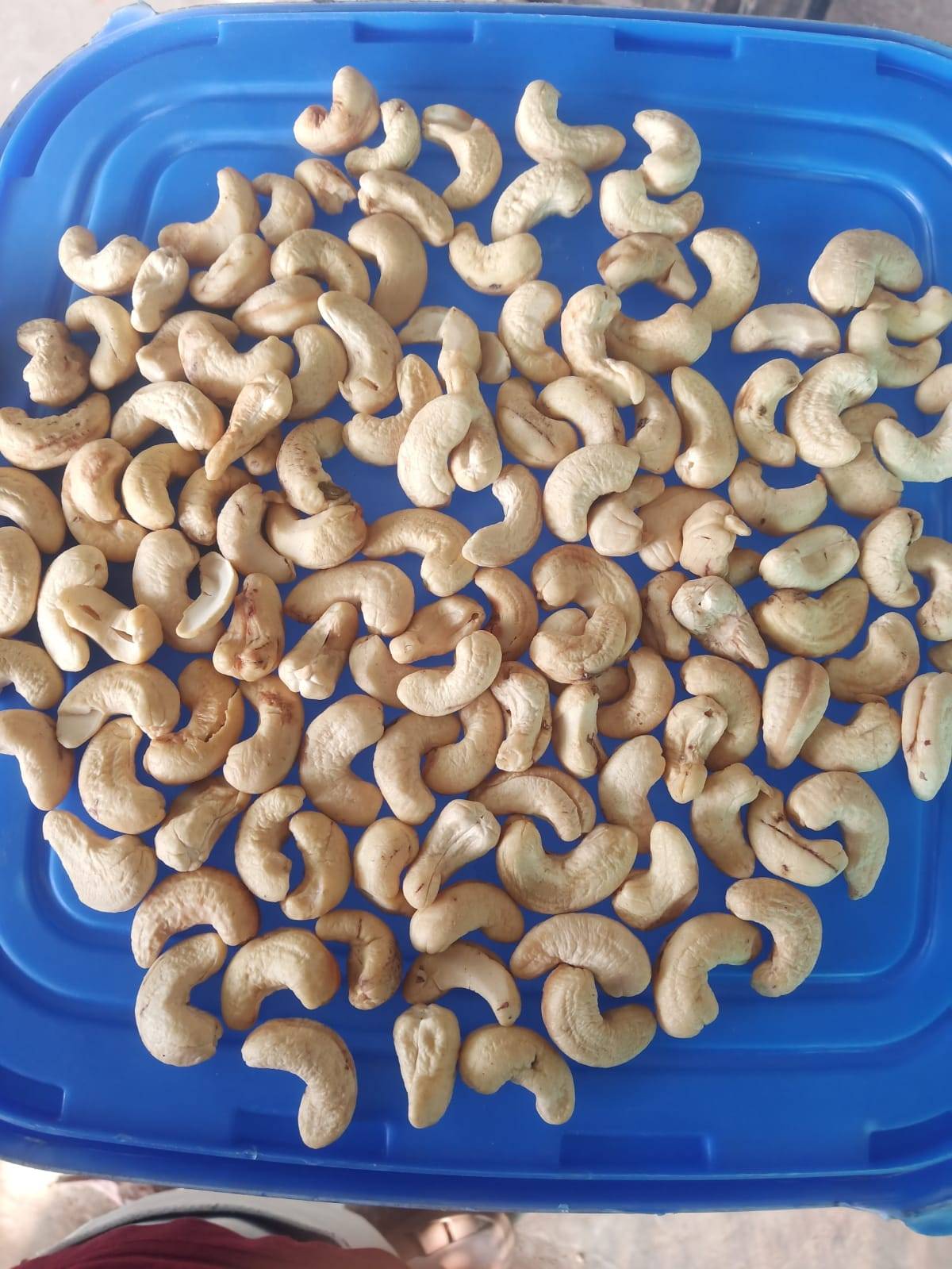 Cashew W210 Cashew