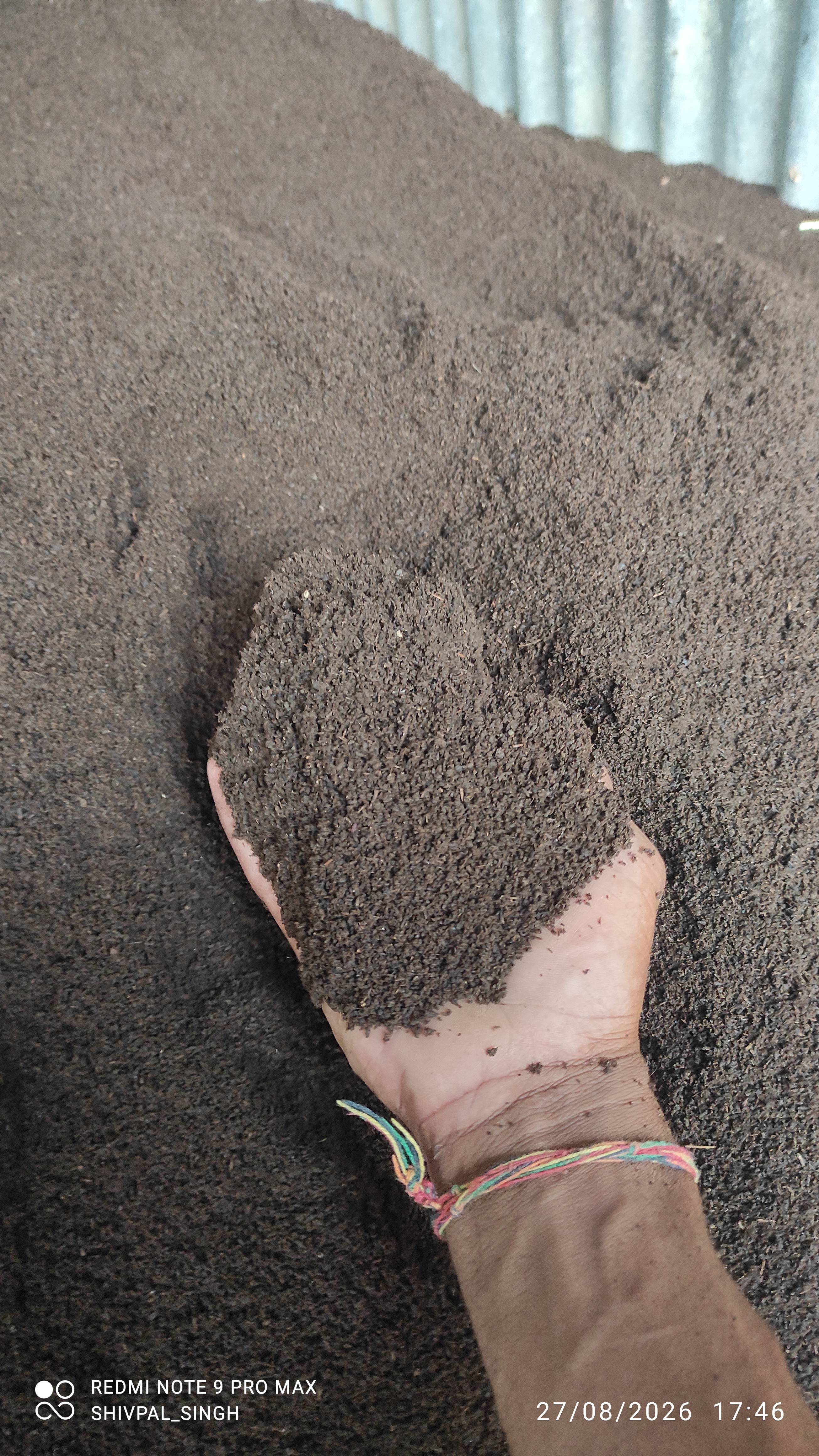 Compost Compost
