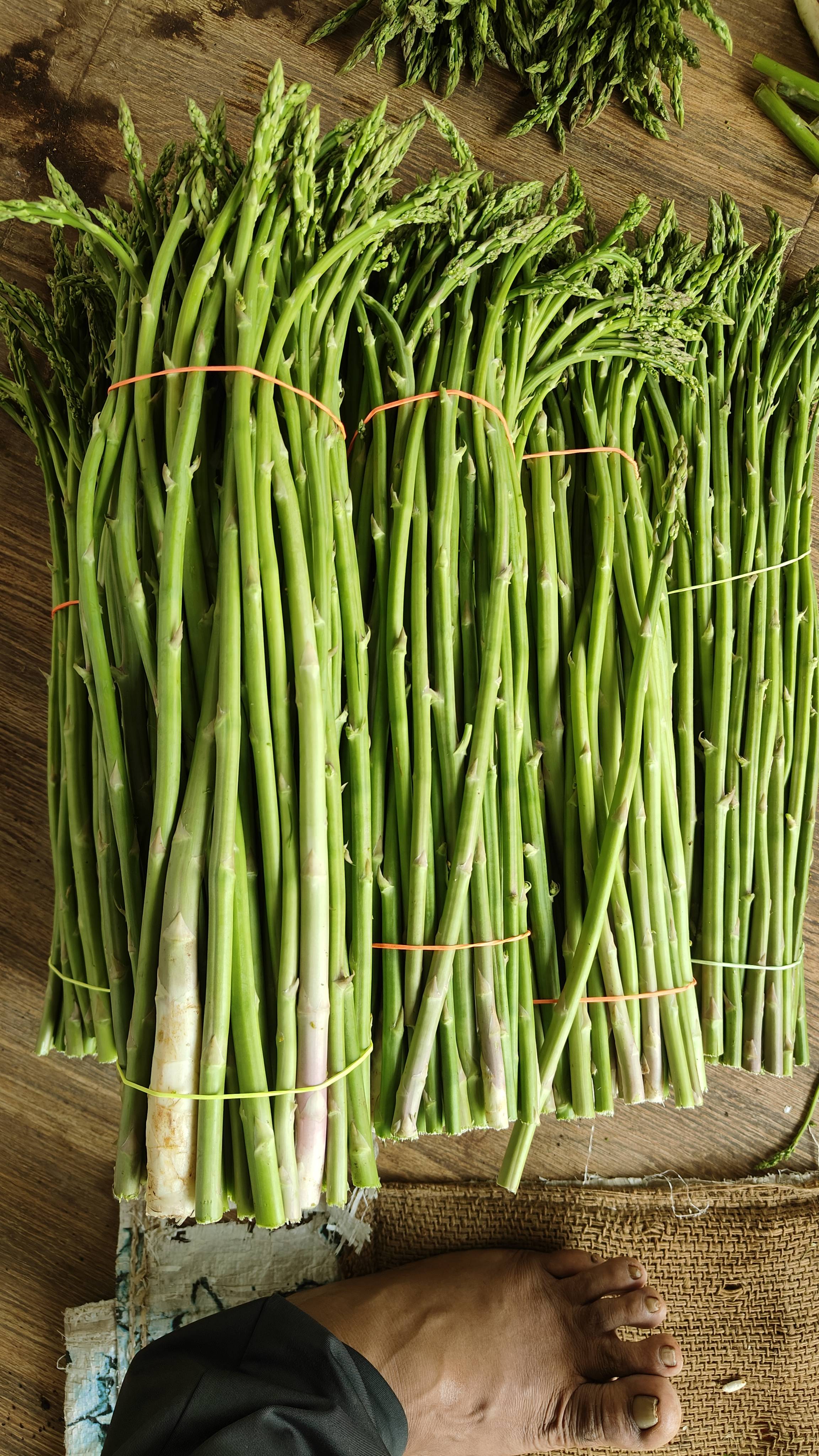 Asparagus for sale in Nashik, Maharashtra