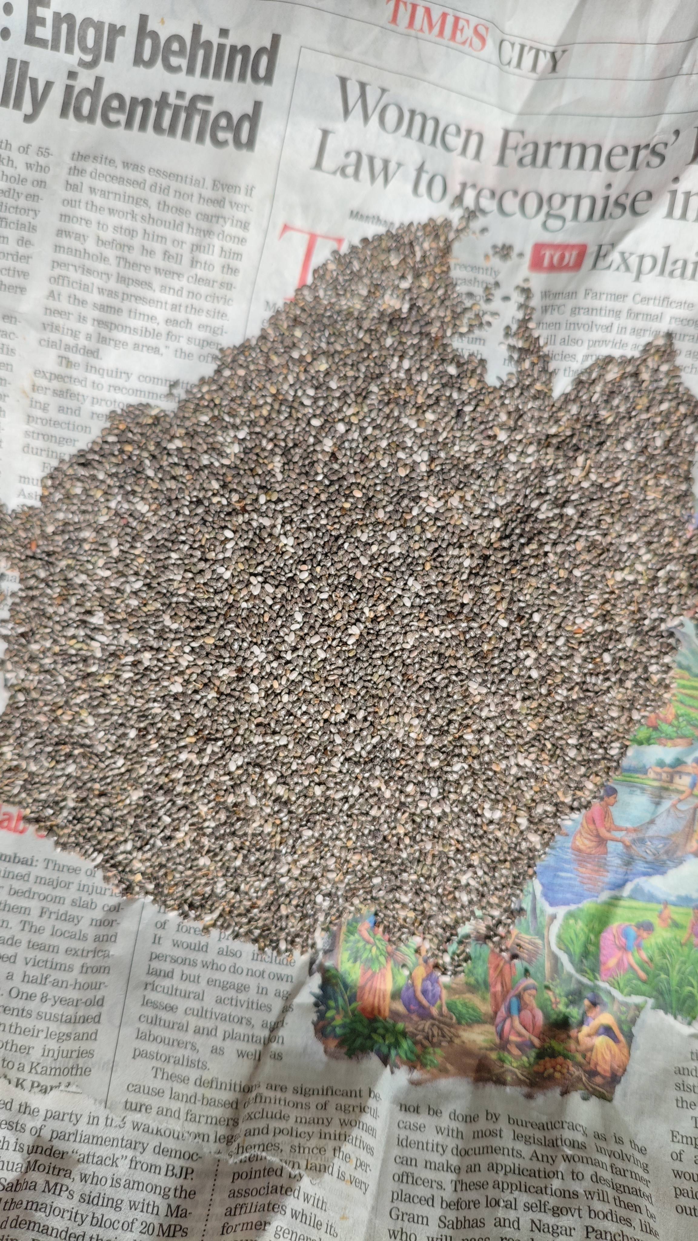 Chia Seeds Mixed Chia Seeds