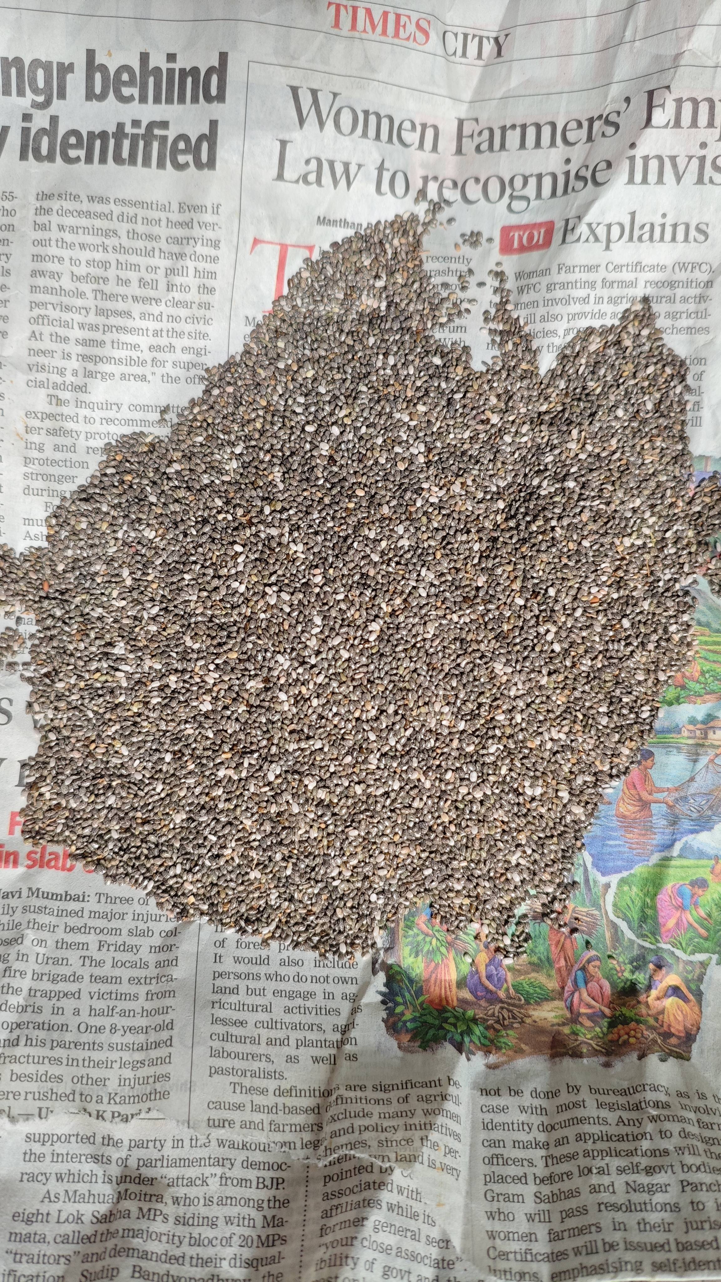 Mixed Chia Seeds बिक्री के लिए, वाशिम, महाराष्ट्र