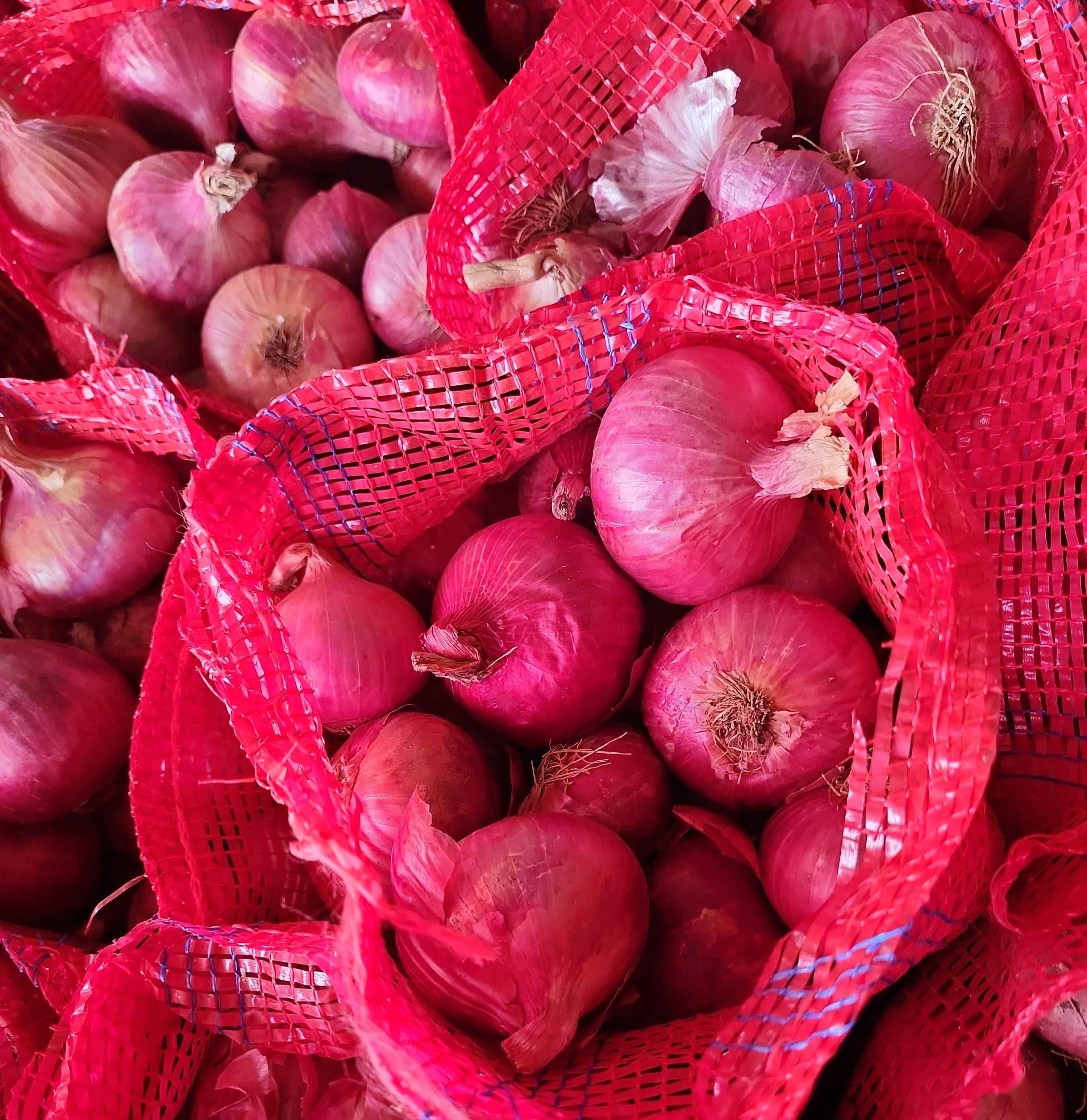 Red Onion बिक्री के लिए, नासिक, महाराष्ट्र