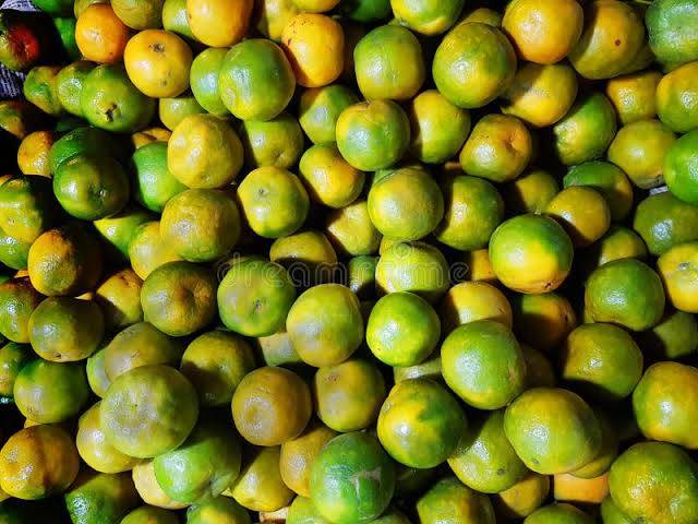 मोसंबी Golden Mousambi