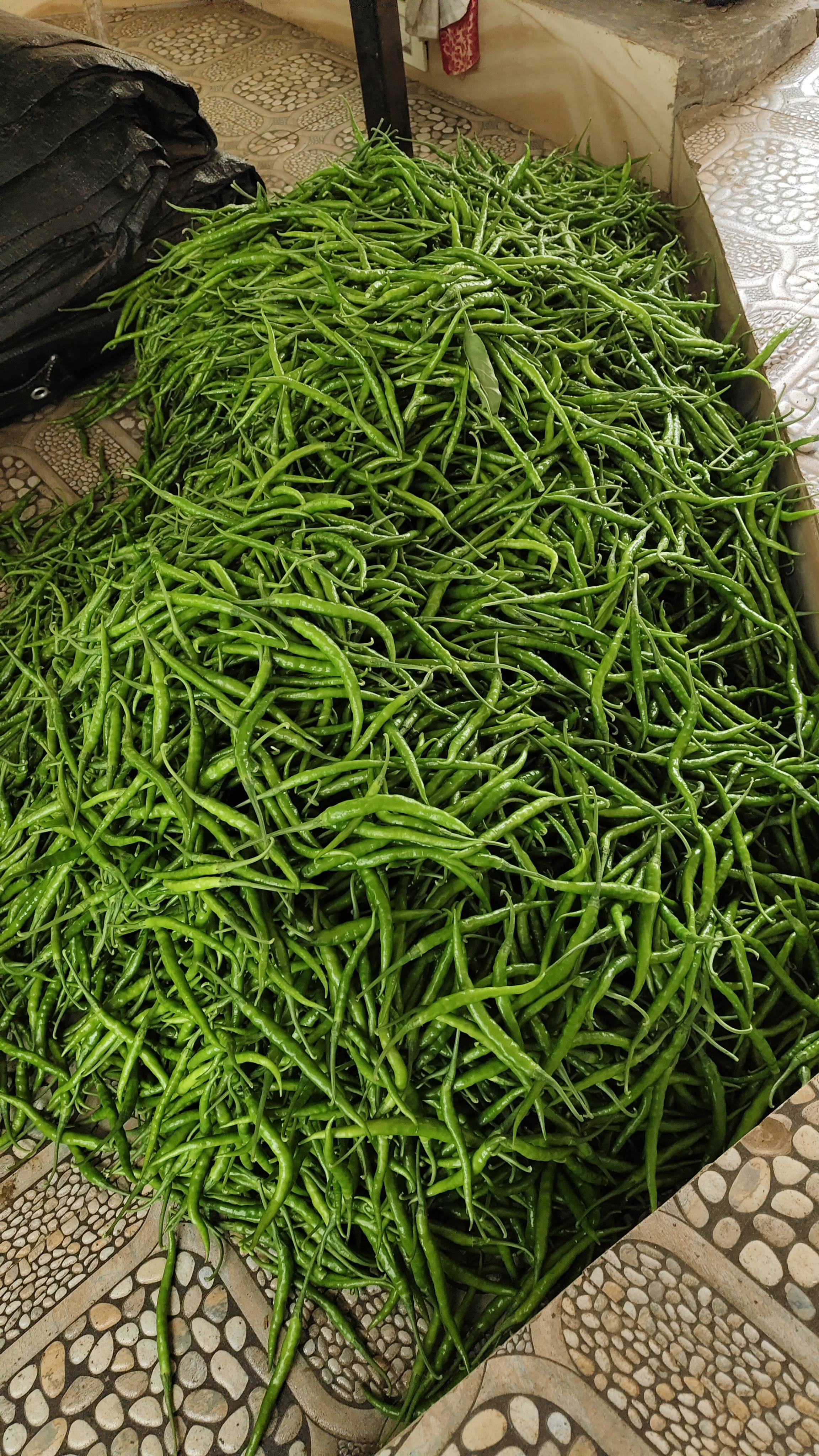 Green Chilli विक्रीसाठी, सोलापूर, महाराष्ट्र