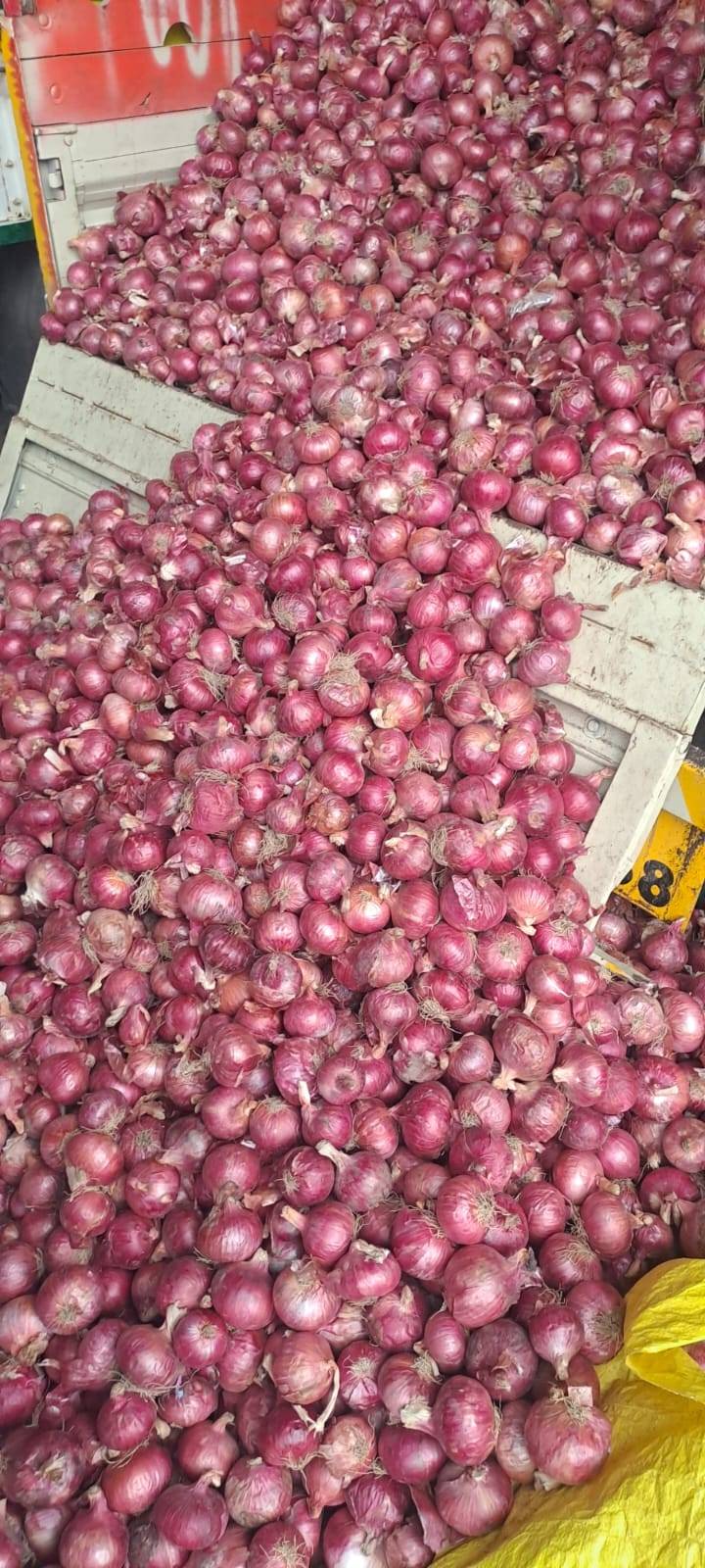 Summer Onion for sale in Nashik, Maharashtra
