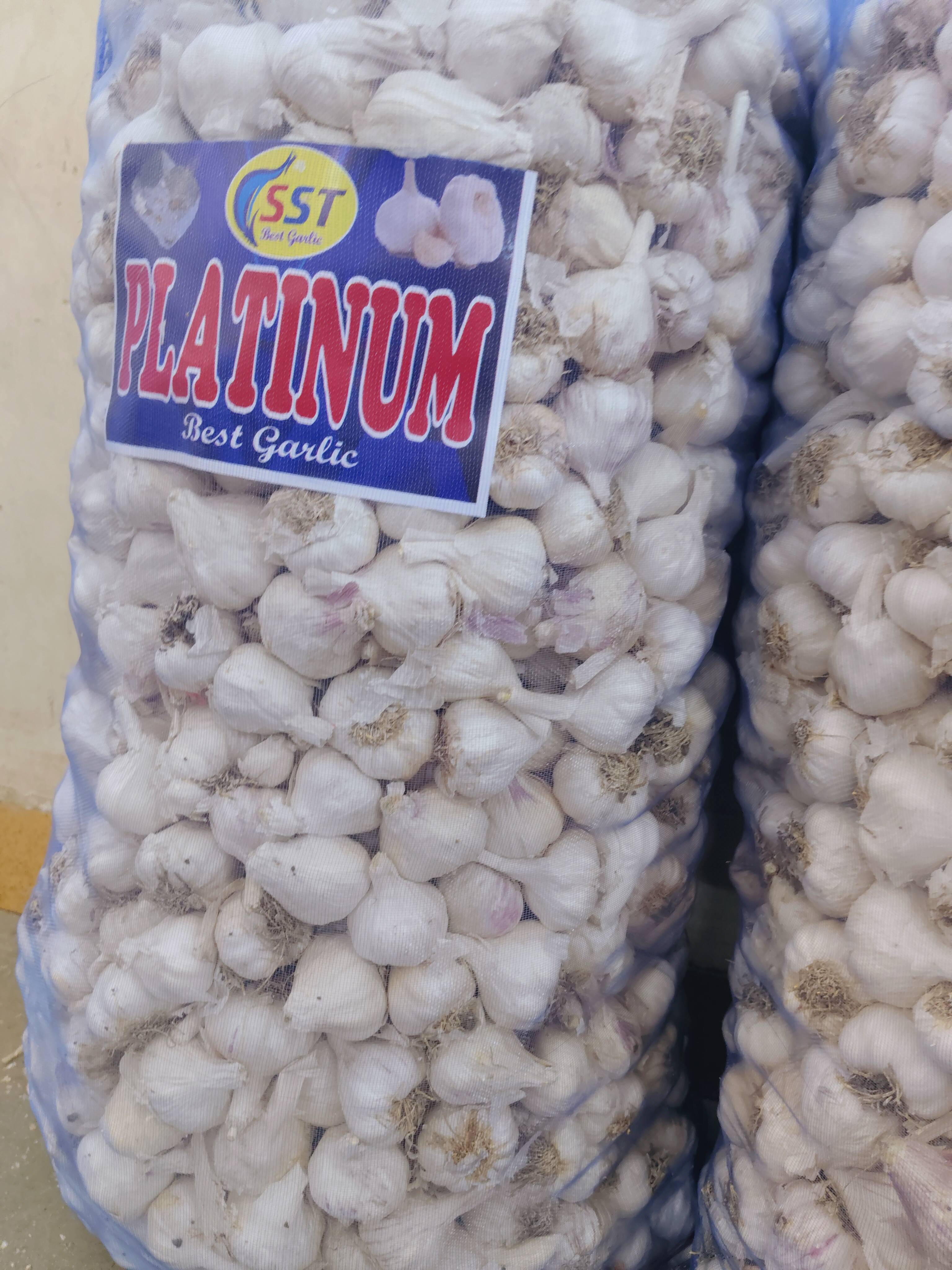 White Garlic बिक्री के लिए, मंदसौर, मध्य प्रदेश