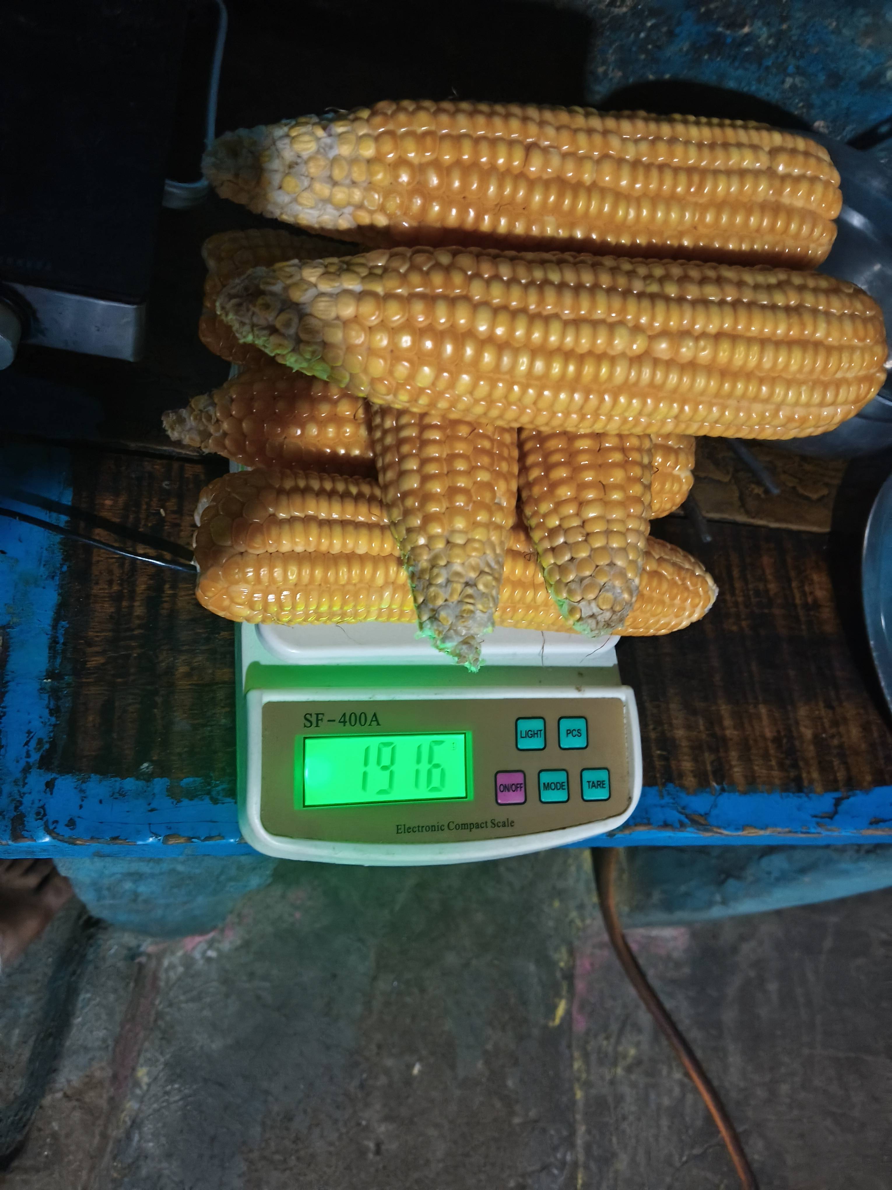 Maize Maize Oil