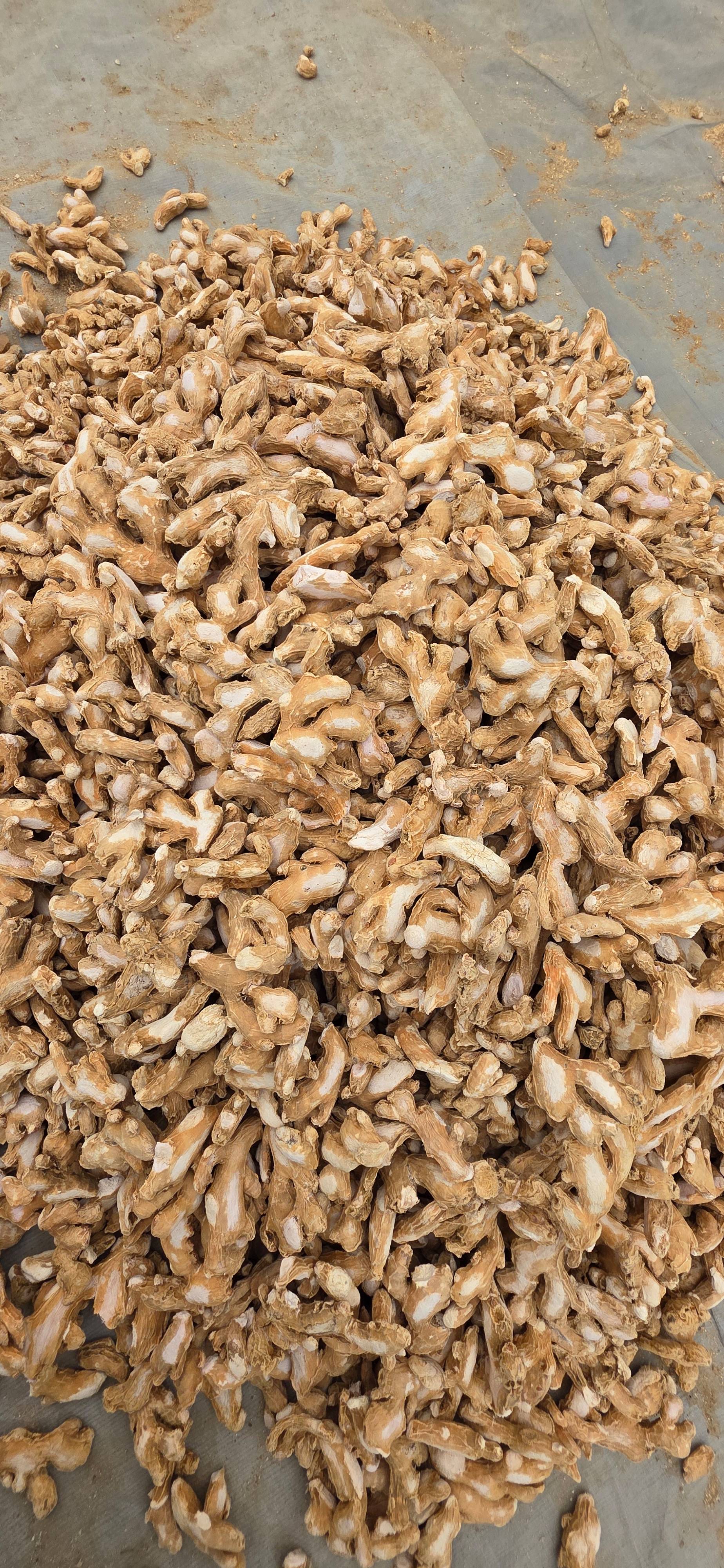 Whole Spices Dried Ginger