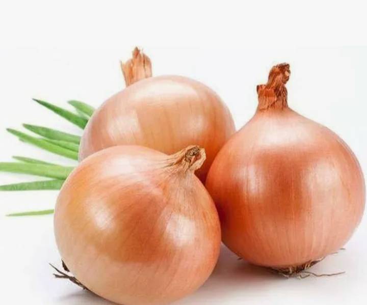 Onion Seeds Pink Onion Seeds