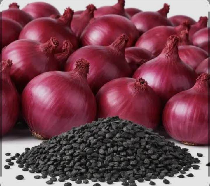 Pink Onion Seeds विक्रीसाठी, जालना, महाराष्ट्र