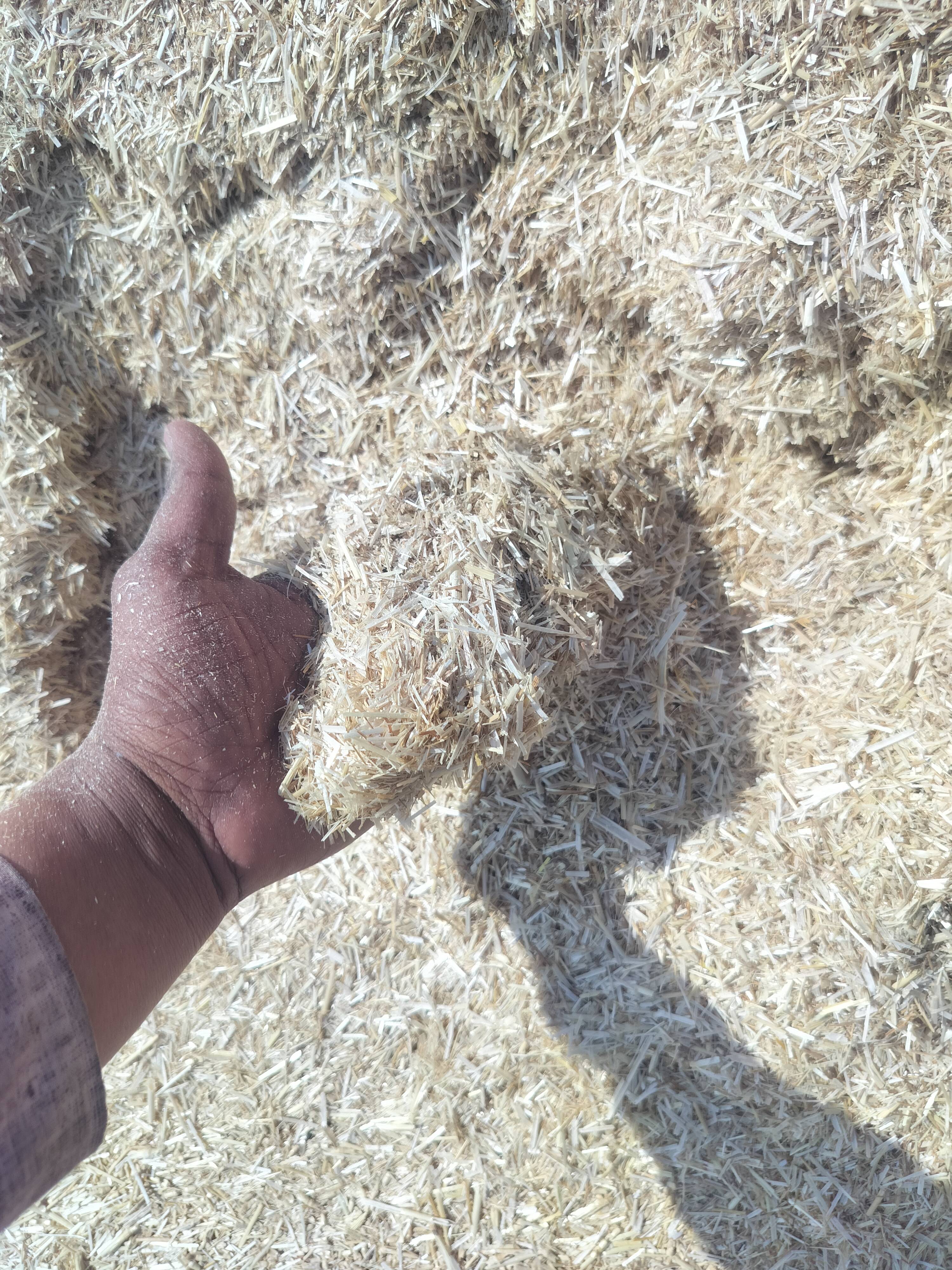 Wheat Straw for sale in Sagar, Madhya Pradesh