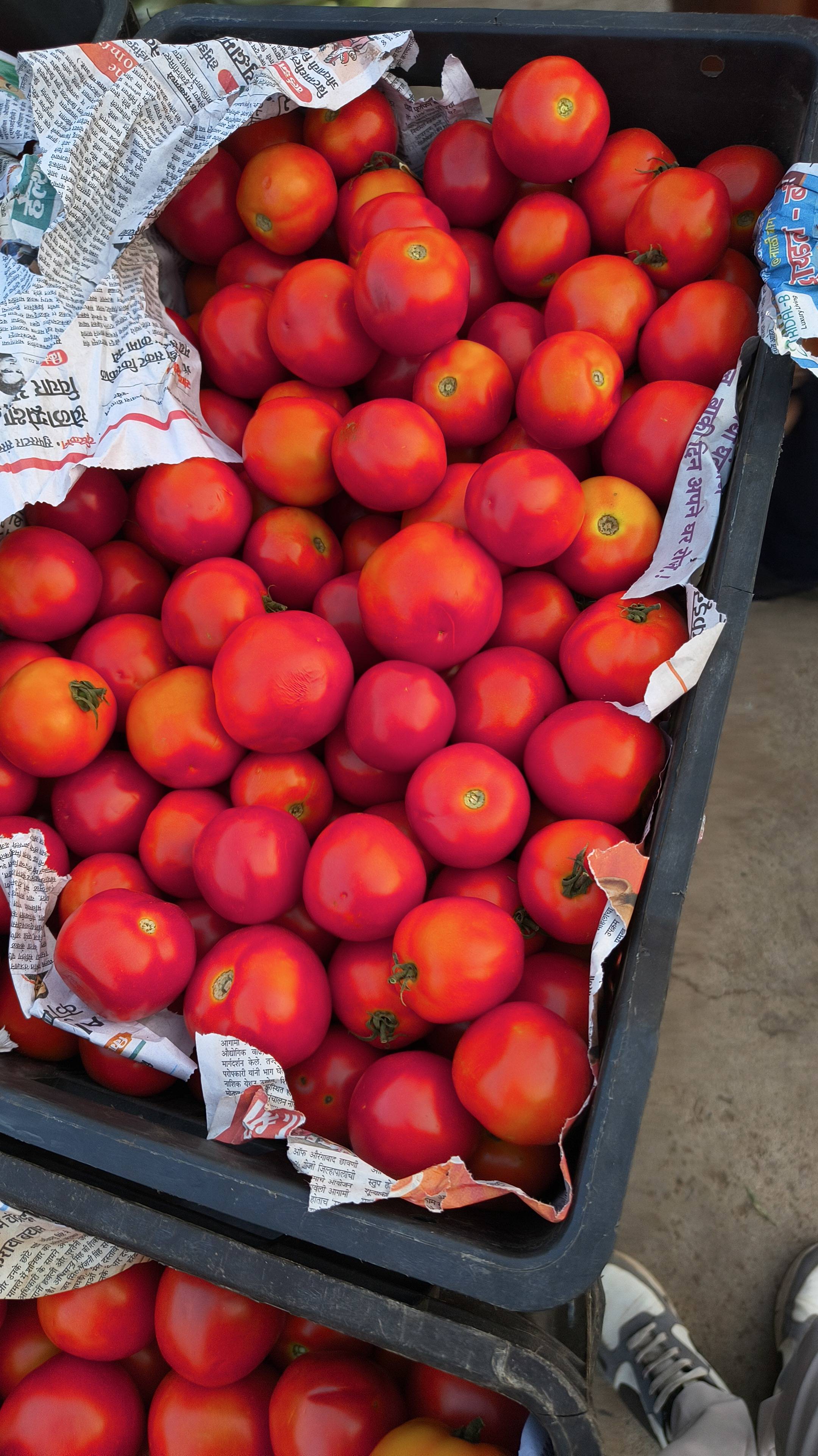 टोमॅटो Cherry Tomato
