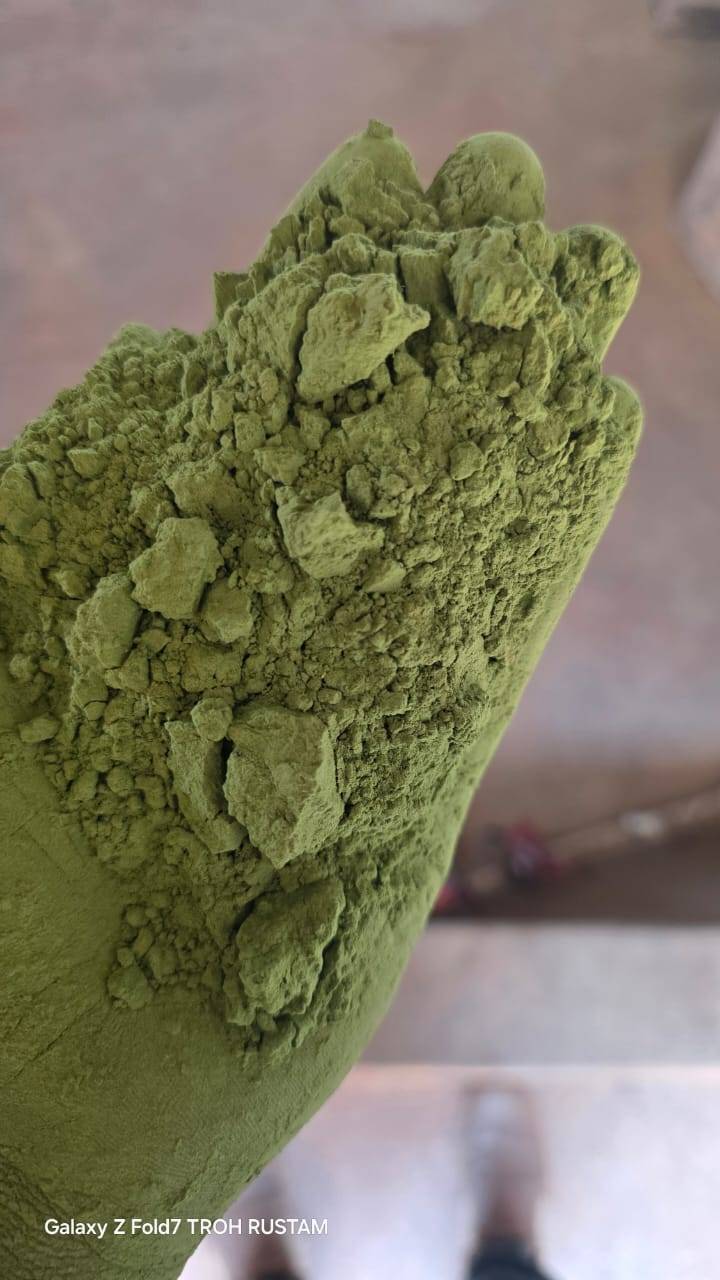 Moringa  Powder बिक्री के लिए, नंदुरबार, महाराष्ट्र