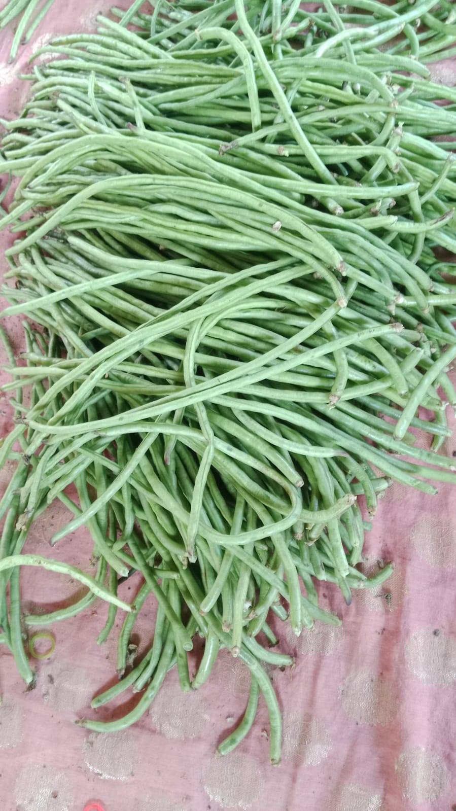 Yardlong Beans विक्रीसाठी, सातारा, महाराष्ट्र