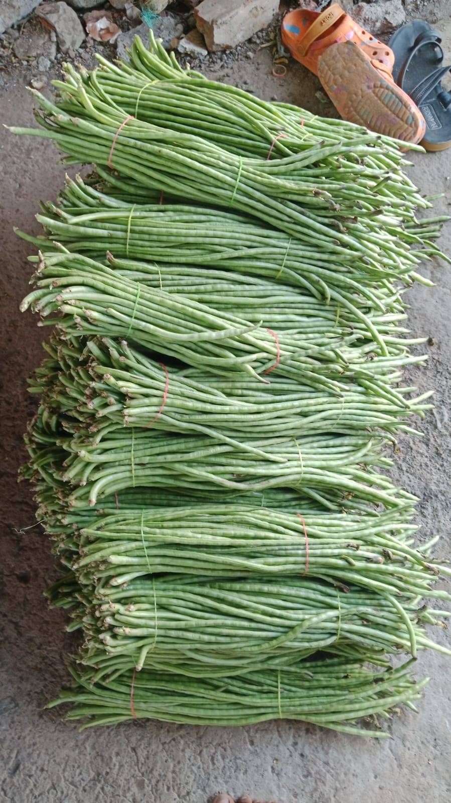 Yardlong Beans विक्रीसाठी, सातारा, महाराष्ट्र