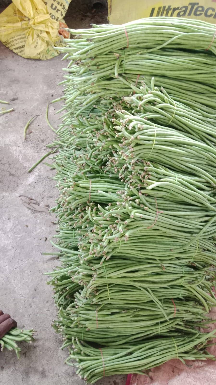 Yardlong Beans विक्रीसाठी, सातारा, महाराष्ट्र