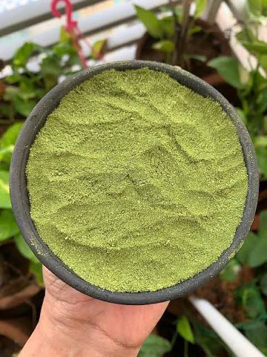 Dehydrated Herbal (Medicinal) Products Moringa Leaf Powder